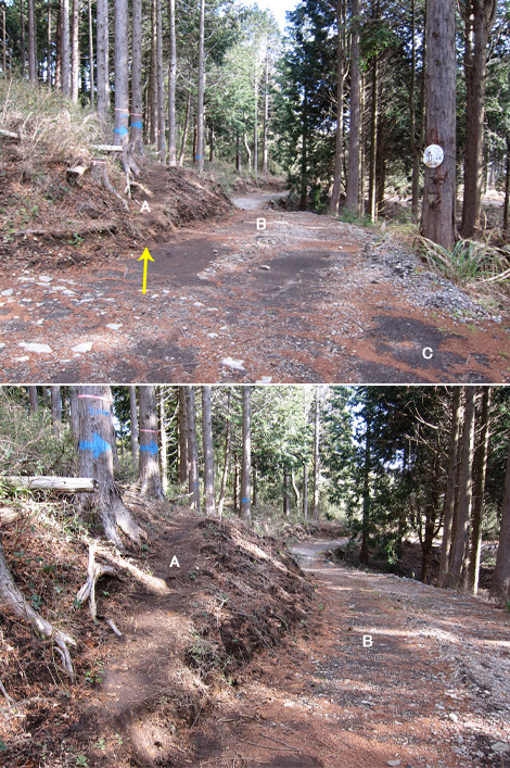 20200122hike (127)